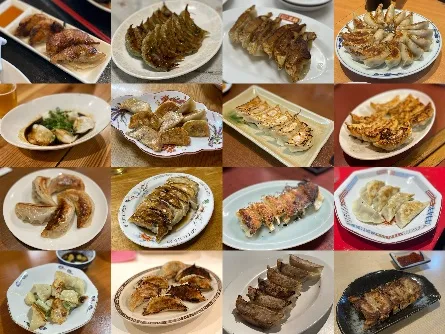 鹿児島の餃子